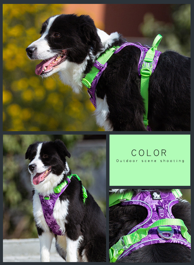 Adjustable Dog Harness with Safety Straps