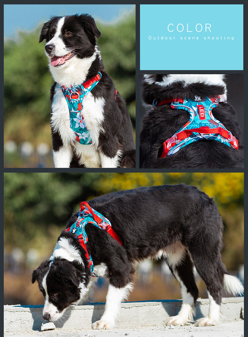 Adjustable Dog Harness with Safety Straps