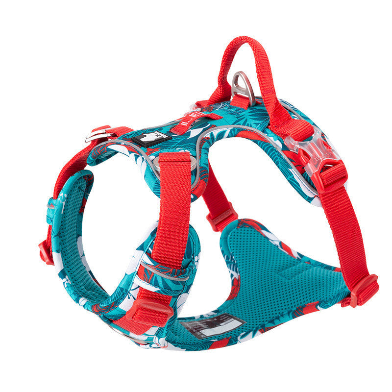 Adjustable Dog Harness with Safety Straps
