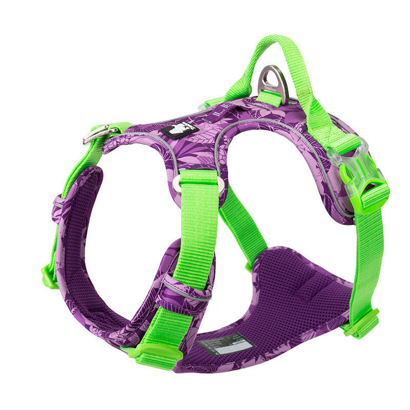 Adjustable Dog Harness with Safety Straps